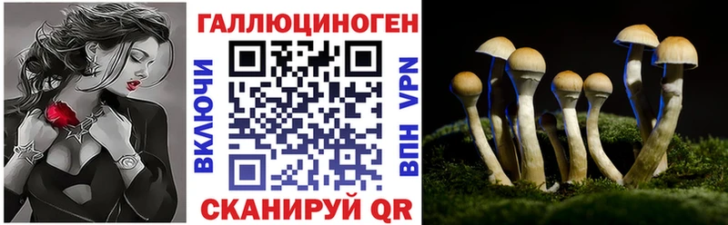 Галлюциногенные грибы мухоморы  Пустошка 